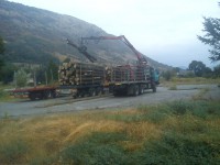 /album/gt-trans-wood/dsc00293-jpg/